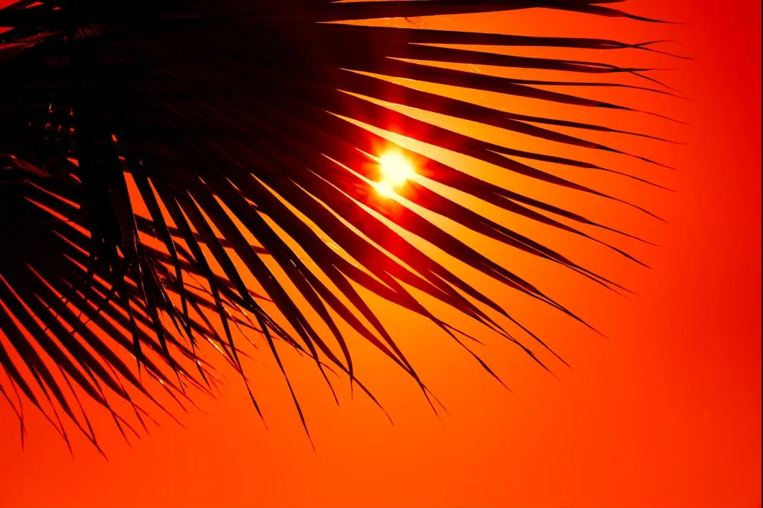 2026 올리브영 베스트 선스틱: 실망을 피하기 위한 시작